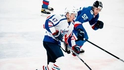 «Сахалинские Акулы» обыграли «СКА-Карелия» со счетом 1:3 в мачте 18 января