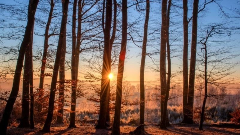 Прогноз погоды на Сахалине и Курилах на 22 января