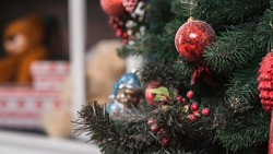 Торги на заготовку новогодних елей пройдут на Сахалине в середине ноября