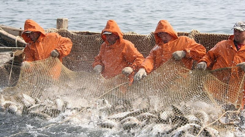 На Сахалине и Курилах вступили в силу новые правила рыболовства