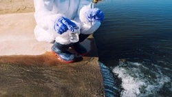 В селе Стародубском рыбозавод сливал стоки в охраняемую акваторию Охотского моря