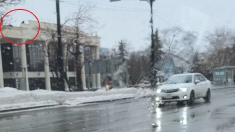 Очевидец: с крыши Чехов-центра сбросили человека