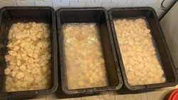 Жители Корсакова незаконно продали больше 8 тысяч особей морского гребешка