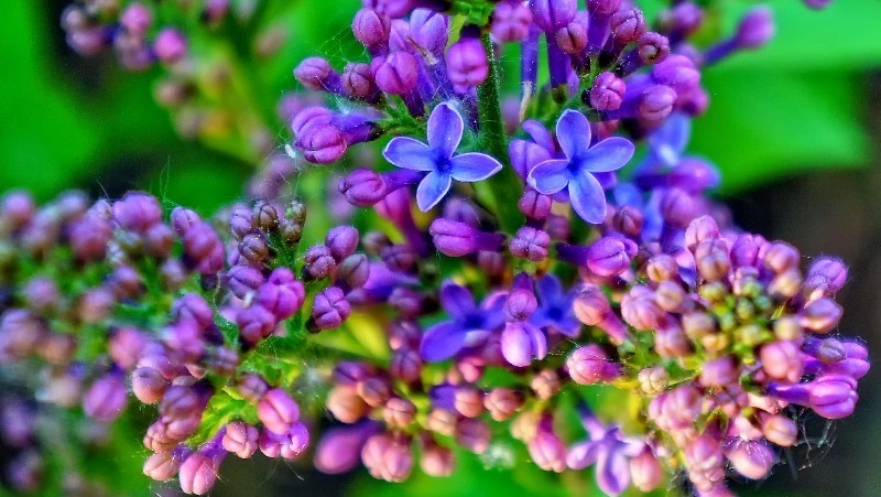 Народные приметы на 28 мая 2024 года: что можно и нельзя делать в этот день