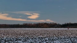 В Охе еще один ДВ-гектар хотели пустить под свалку нефтепродуктов