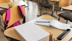 Тест на школьные знания: только отличники ответят правильно на 10 вопросов