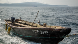 Алабай помог пропавшему рыбаку спастись в Татарском проливе
