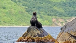 Количество туристов на Монерон выросло в пять раз