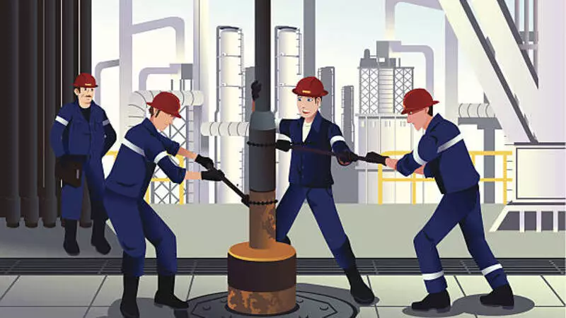 Иностранцы рассказали, что думают о работе на Сахалине