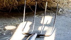 Угроза вилами полиции обернулась для жителя Сахалина условным сроком