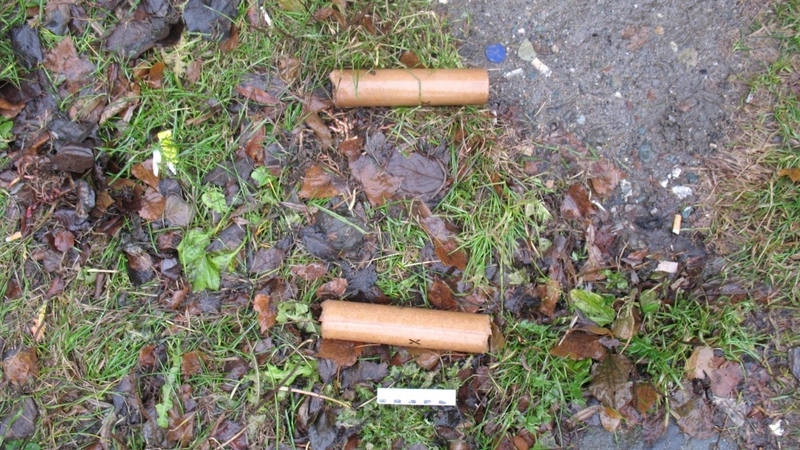 Сахалинская полиция: тротиловой шашкой оказался фейерверк