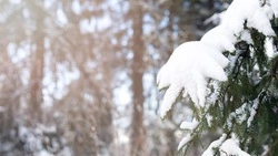 Синоптики рассказали, какая погода будет в Сахалинской области 29 декабря