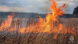 Пожарные ликвидировали два масштабных возгорания травы на Сахалине 4 мая