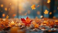 Погода в Южно-Сахалинске 28 октября: +10 и малооблачная погода