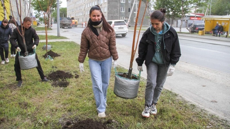 В Корсакове продолжается озеленение города