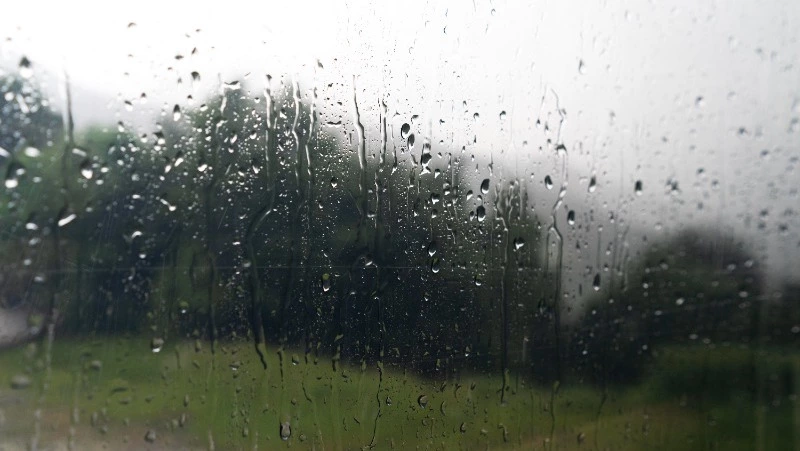 До +8 градусов и дождь: синоптики уточнили прогноз погоды на 25 апреля в Южно-Сахалинске