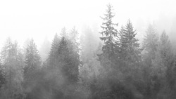 Гололедица и туман: прогноз погоды на Сахалине и Курилах 12 марта