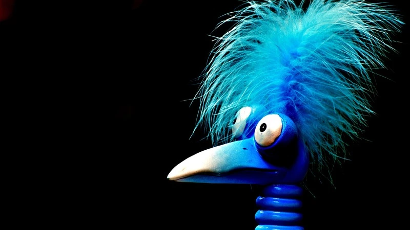 О смешном и дурацком: стриптиз в морге, порнозвезда с грамотой РПЦ, водка и пиво в детском саду