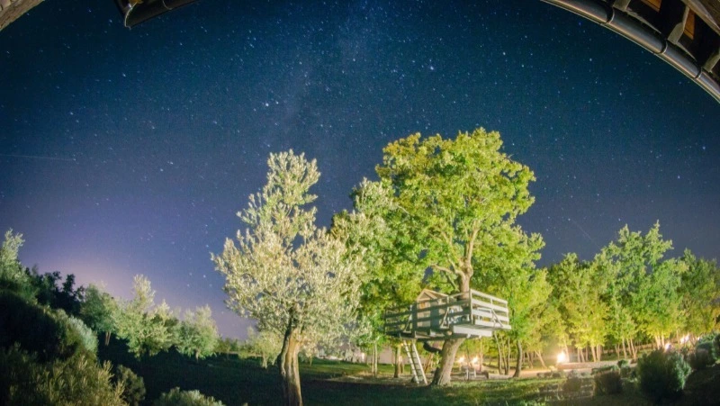 Гороскоп на 9 сентября 2023 года: важные решения и крупные покупки