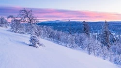 Прогноз погоды на Сахалине и Курилах 15 декабря: облачно, мороз и снег