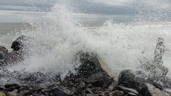 Ученые ДВО РАН проверили акваторию Сахалина и Курил на наличие радиации