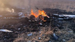 Два человека погибли при крушении легкомоторного самолета в Подмосковье