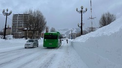 Ситуацию с автобусами в Южно-Сахалинске на 26 января уточнили в администрации