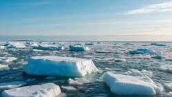 Жителям Сахалинской области запретили выход на лед в заливе Мордвинова 27 января