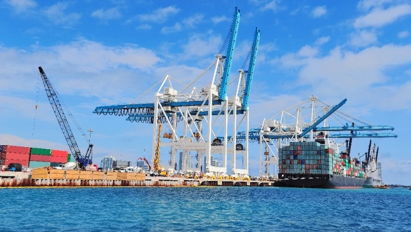 Свыше 44 тысяч тонн рыбы и морепродуктов экспортировали из Приморья и Сахалина за неделю