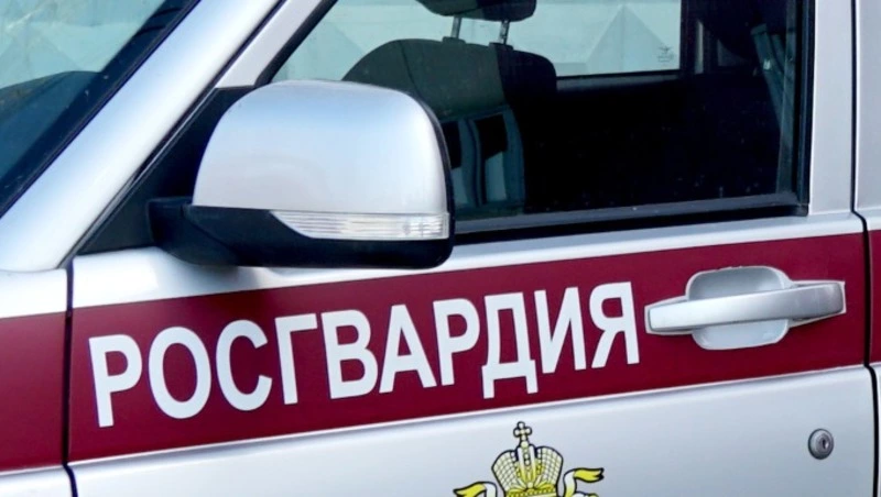 Пьяный водитель на Toyota Camry пытался сбежать от Росгвардии в Александровске-Сахалинском