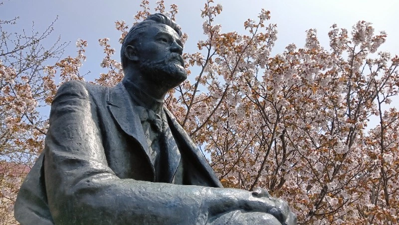 Эксперты раскрыли секреты успешного регионального бренда Сахалина