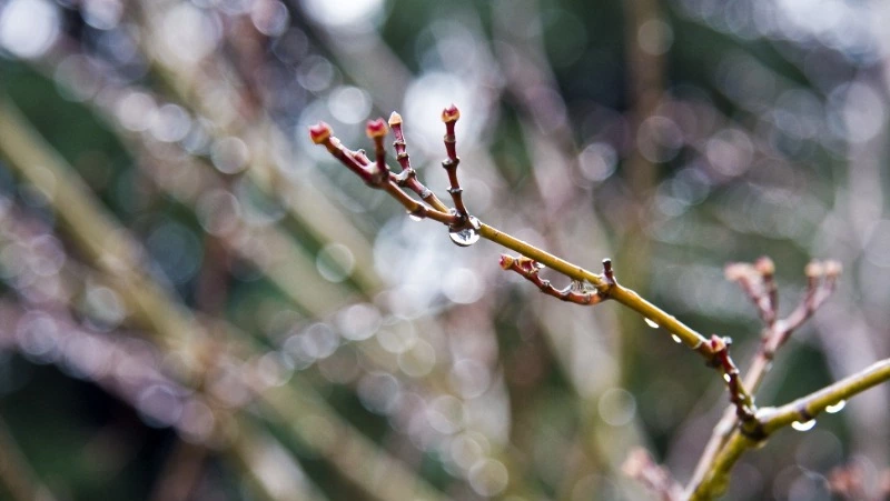 Синоптики спрогнозировали минусовую погоду ночью 4 мая в Сахалинской области