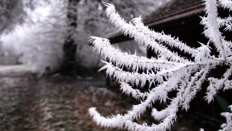 Церковный праздник 31 января 2025: что нельзя делать в этот день, приметы