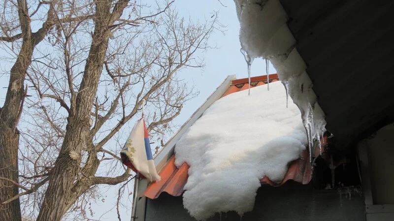 Сахалинцев шокировал внезапный приход настоящей весны