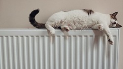 Отопление в домах Южно-Сахалинска усилят по поручению мэра с 7 декабря