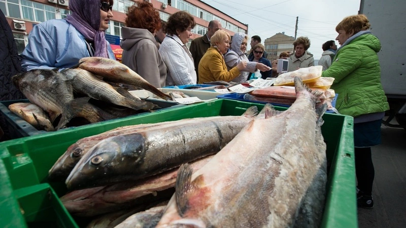 «Столичный» и «Островной» предложат островитянам дешевую рыбу