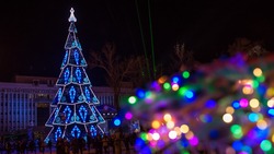 Где поставят новогодние елки на Сахалине? Список адресов