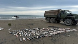 На Сахалине браконьеры выловили кету на сумму свыше 700 тысяч рублей