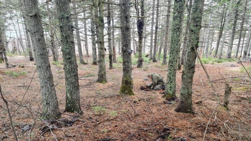 Поиски истребителя времен СССР Kingcobra начали возле Тараная на Сахалине