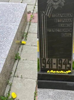Дети сорвали цветы у памятника томаринцам – ветеранам ВОВ