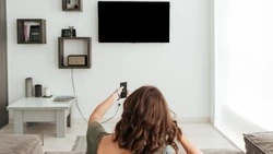 Жительница Анивы украла телевизор из съемной квартиры в Южно-Сахалинске