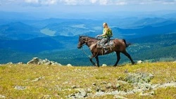 «Голытьба! Шаромыжники! Мухи!»: скандальному камчатскому министру посвятили стихи