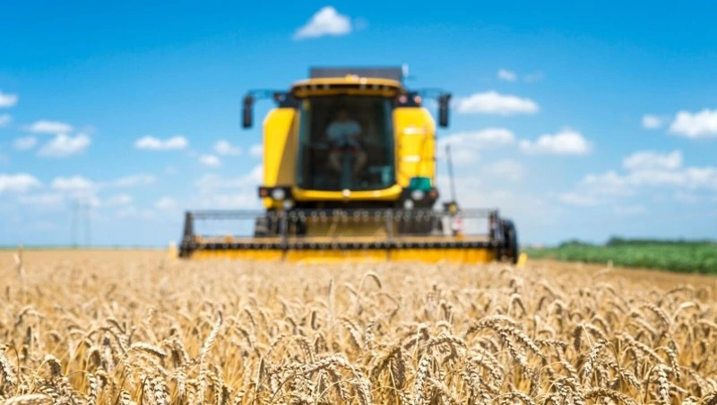 На Сахалине агростартапера обязали вернуть 3 млн рублей госсубсидии