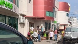 Цветы в «Тепличном» раскупили в считанные часы в преддверии 1 сентября