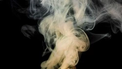 Росстат: в Сахалинской области стало меньше курящих людей в начале 2023 года