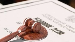 За неуплату налогов в крупном размере директор сахалинского предприятия пойдет по суд