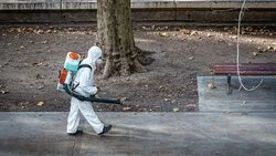 Родителям студентов, прилетающих на Сахалин, придется снимать им жилье или брать отпуск на карантин