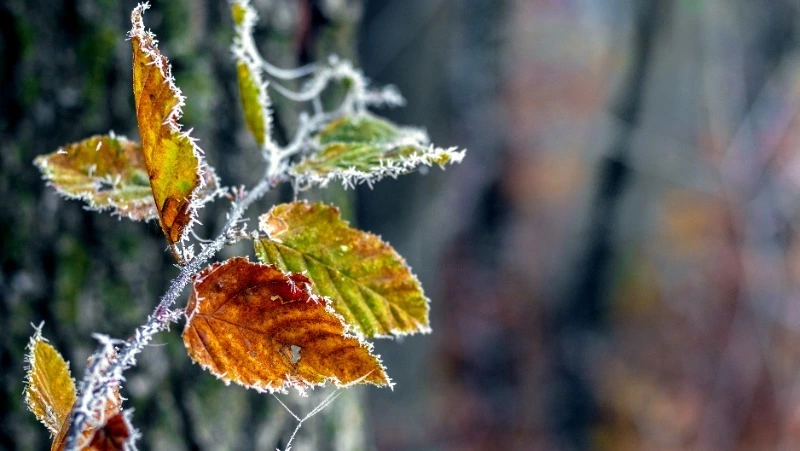 Церковный праздник 17 октября 2024: что нельзя делать в этот день, приметы