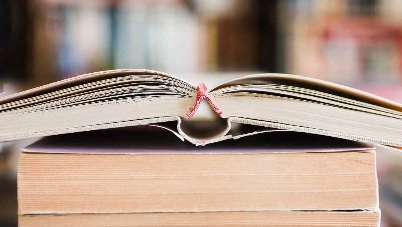 Тест на знания: только эрудиты без труда ответят на 8/8