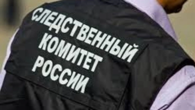 СК проверяет детали исчезновения 15-летней девочки в Южно-Сахалинске